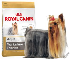 Royal Canin (Роял Канин) - Yorkshire Terrier Adult (Йоркширкский терьер Эдалт) - Корм для собак породы Йоркширский терьер старше 10 месяцев