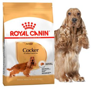 Royal Canin (Роял Канин) - Cocker Adult (Кокер Эдалт)  - Корм для собак породы Кокер спаниель старше 12 месяцев