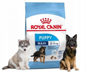 Royal Canin (Роял Канин) - Maxi Junior (Макси Юниор) - Корм для щенков от 2 до 15 месяцев