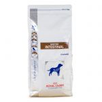 Gastro Intestinal Canine GI25 (Гастро Интестинал для собак)
