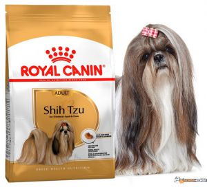 Royal Canin (Роял Канин) - Shih Tzu Adult (Ши-Tцу Эдалт) - Корм для собак породы Ши-тцу старше 10 месяцев