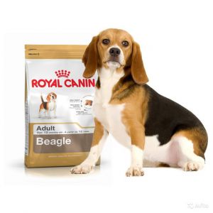 Royal Canin (Роял Канин) - Cocker Adult (Кокер Эдалт)  - Корм для собак породы Кокер спаниель старше 12 месяцев
