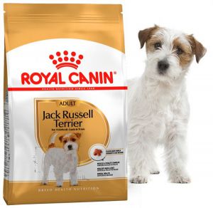 Royal Canin (Роял Канин) - Jack Russell Terrier Adult (Джек Рассел Терьер Эдалт) - Полнорационный сухой корм для собак породы джек-рассел-терьер в возрасте с 10 месяцев