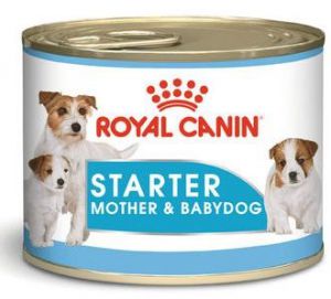 Royal Canin (Роял Канин) - Starter Mousse 195 гр (Стартер Мусс) - Влажный корм Роял Канин Стартер Мусс для щенков с момента отъема до 2 месяцев, для сук в период беременности и лактации.