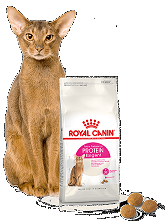Royal Canin, Zoolife, для красоты шерсти, для привередливых к сосатву, Зоолайф, корм для привередливых кошек, Омск, Роял Канин, с курицей,Protein Exigent, Протеин Эксиджент
