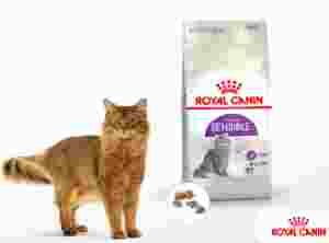 Royal Canin, Zoolife,  Зоолайф, корм для кошек, Омск, Роял Канин,  Корм для кошек с чувствительной пищеварительной, системой, Sensible, Сенсибл, 33